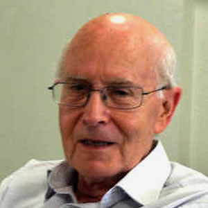 Professor Richard Robson