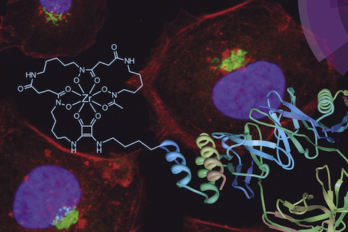 Stacey Rudd Research from Stacey Rudd and Paul Donnelly features on the cover of ...